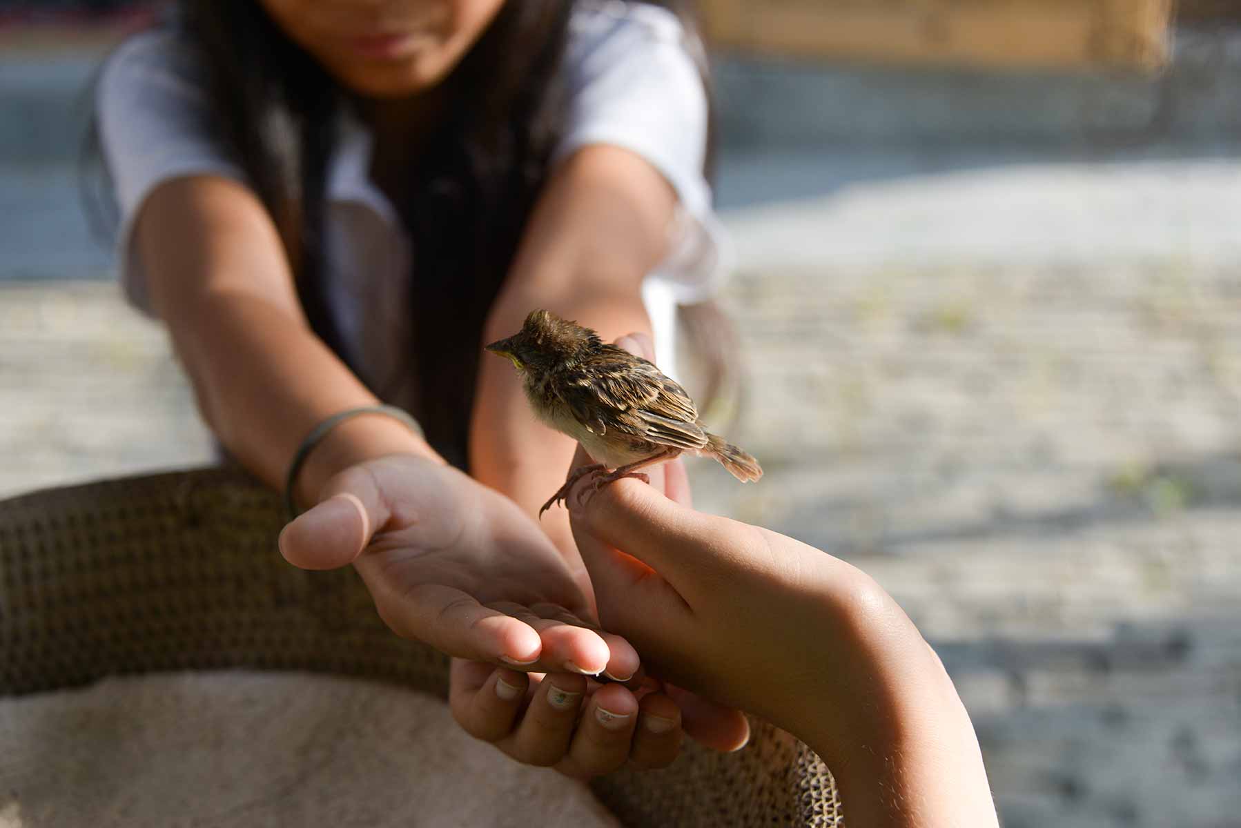 Girl with bird in her hands